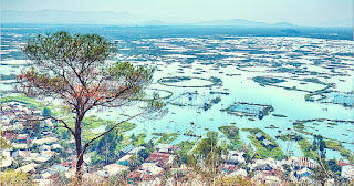 मणिपुर की लोकतक झील की निगरानी के लिए चल प्रयोगशाला की स्थापना |_40.1