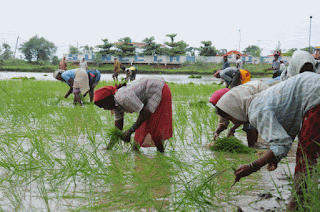 आकांक्षी जिलों में किसानों की आय बढ़ाने के लिए सरकारों ने 'कृषि कल्याण अभियान' का आयोजन किया |_40.1