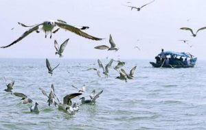 ओडिशा में "चिलिका और अंसुपा" झीलों के लिए संरक्षण योजना को मंजूरी |_40.1