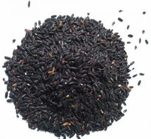 मणिपुर के काले चावल और गोरखपुर टेराकोटा को मिला जीआई टैग |_20.1