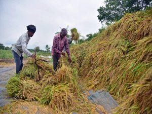 गोवा सरकार ने किसानों को PM-KISAN योजना से जोड़ने के लिए इंडिया पोस्ट के साथ की साझेदारी |_40.1
