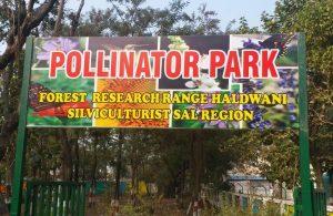 उत्तराखंड में खोला गया भारत का पहला पोलिनेटर पार्क |_40.1