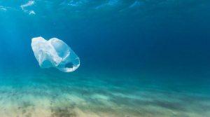 प्लास्टिक कचरे को महासागरों में प्रवेश से रोकने के लिए भारत-जर्मनी ने किया समझौता |_20.1
