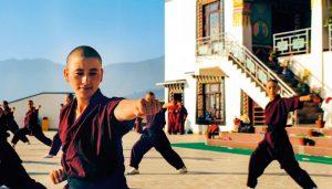 कुंग फू नन ने यूनेस्को का मार्शल आर्ट शिक्षा पुरस्कार 2021 जीता |_40.1