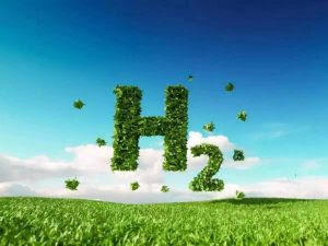 L&T ने हरित हाइड्रोजन प्रौद्योगिकी विकसित करने के लिए आईआईटी बॉम्बे के साथ समझौता किया |_20.1