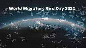 14 मई को मनाया गया विश्व 'प्रवासी पक्षी दिवस 2022', जानें मनाने की वज़ह और इस वर्ष का थीम |_40.1