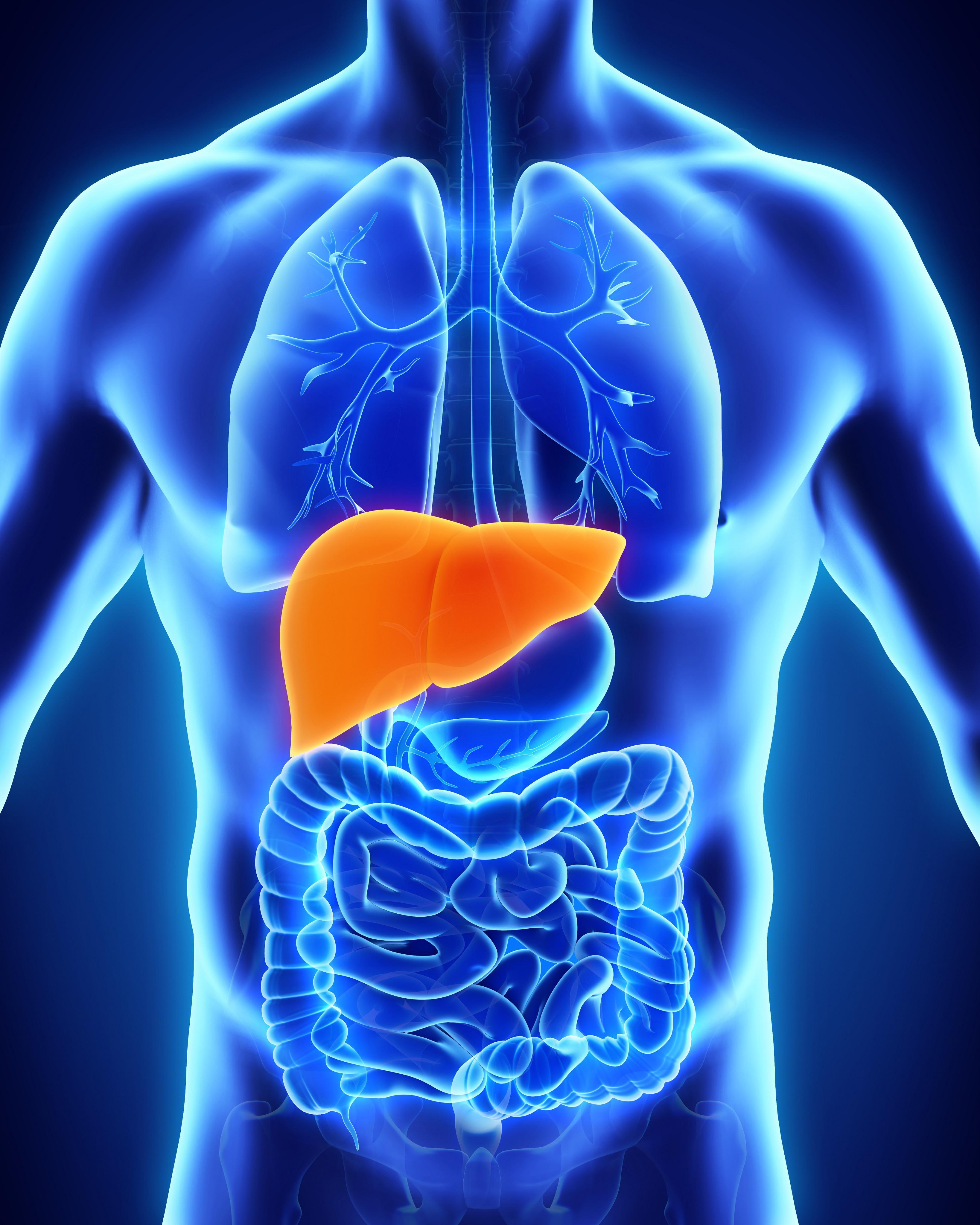 Liver Disease | MedlinePlus