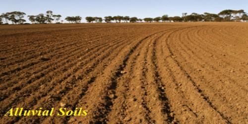 Alluvial Soils in Indian Subcontinent - QS Study