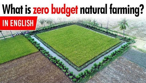 Zero Budget Natural Formi ng