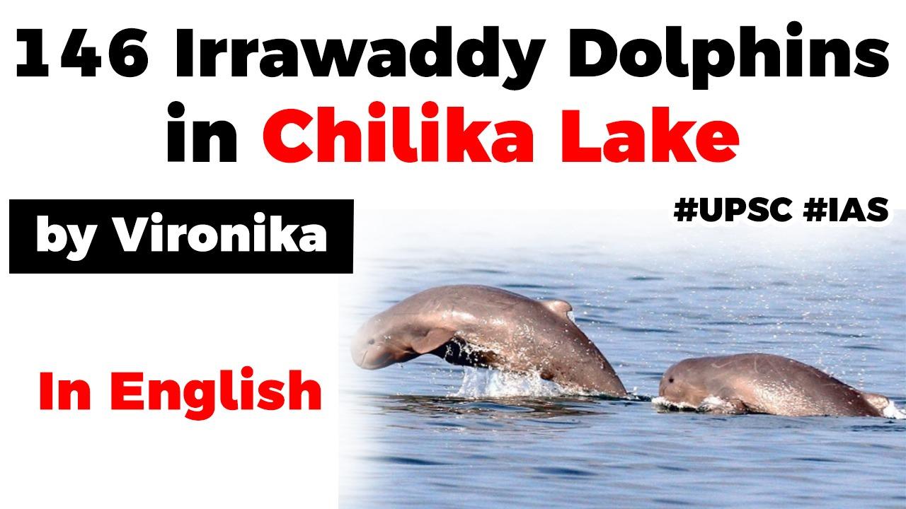 Irrawaddy Dolphin, Chilika Lake