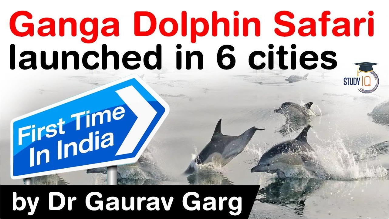 West Bengal set for Gangetic dolphin census, Science & Environment News