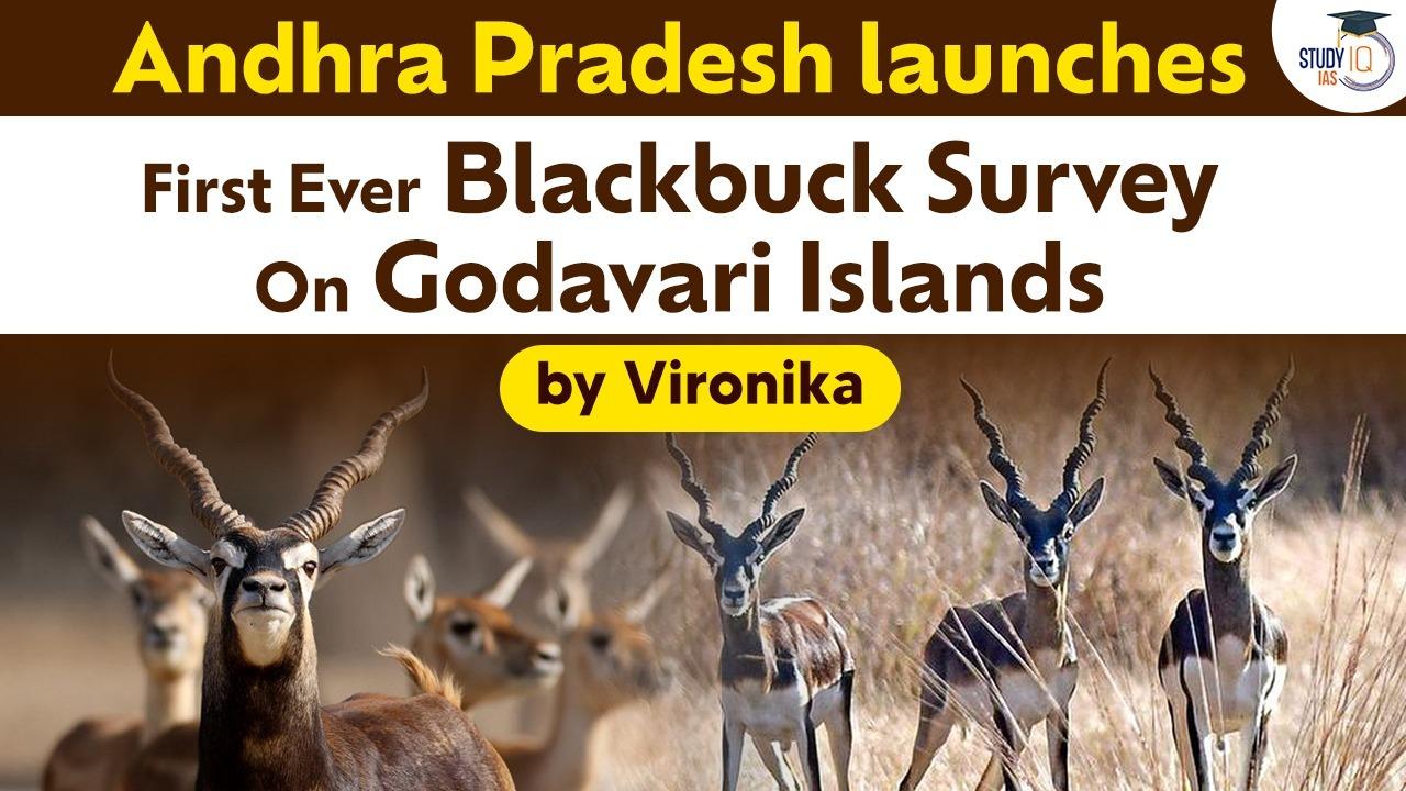 andhara pradesh black buck