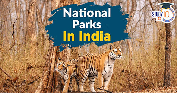Spotting Great 55 National Park In India And Their Location | Royal  Sundarban Tourism