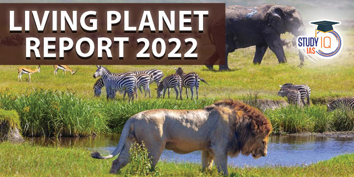 Living Planet Report 2022