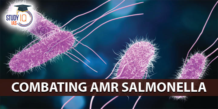 Anti Microbial Resistance
