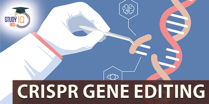 CRISPR Gene Editing