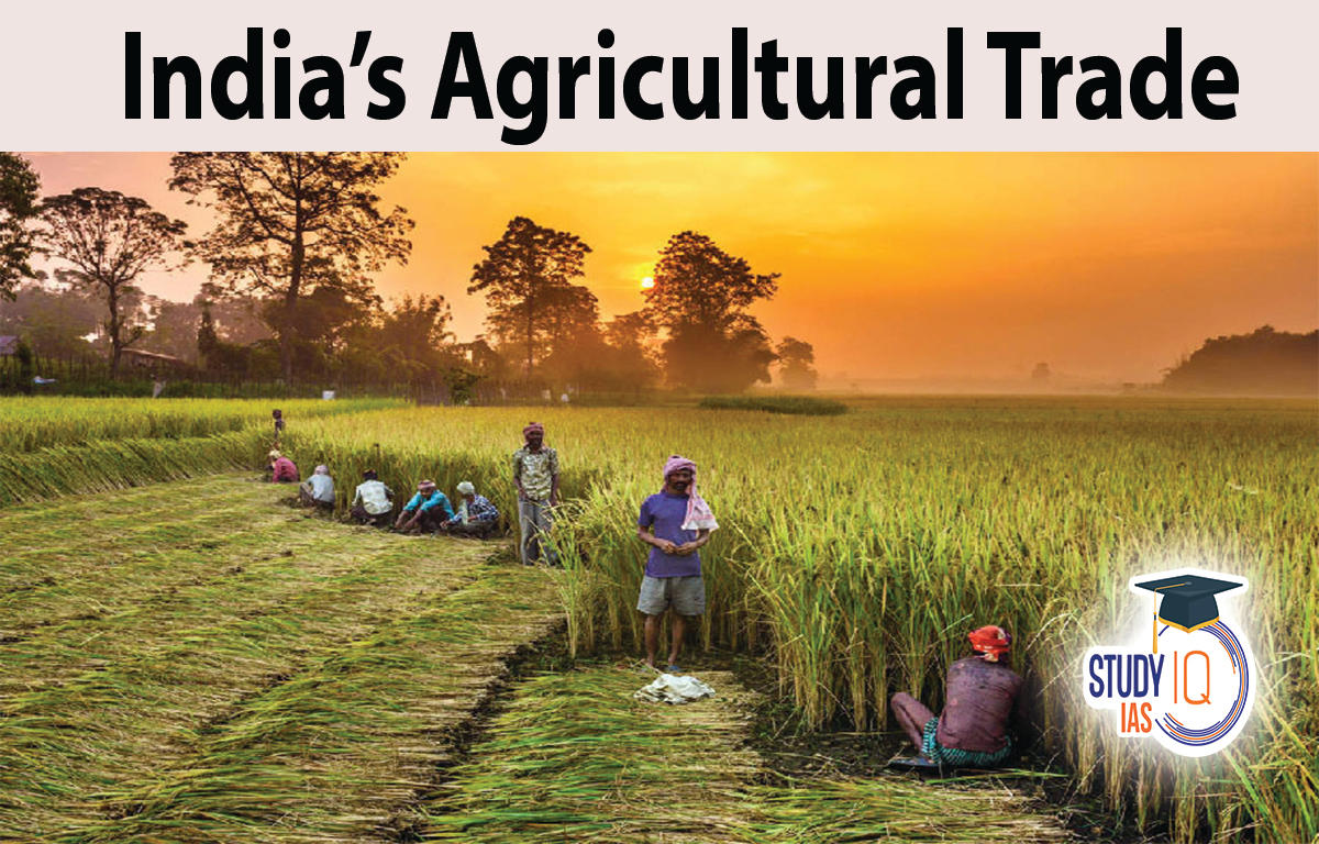 India's Agricultural Trade