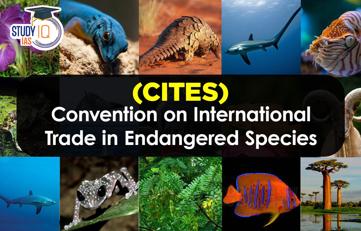 Convention on International Trade in Endangered Species (CITES)