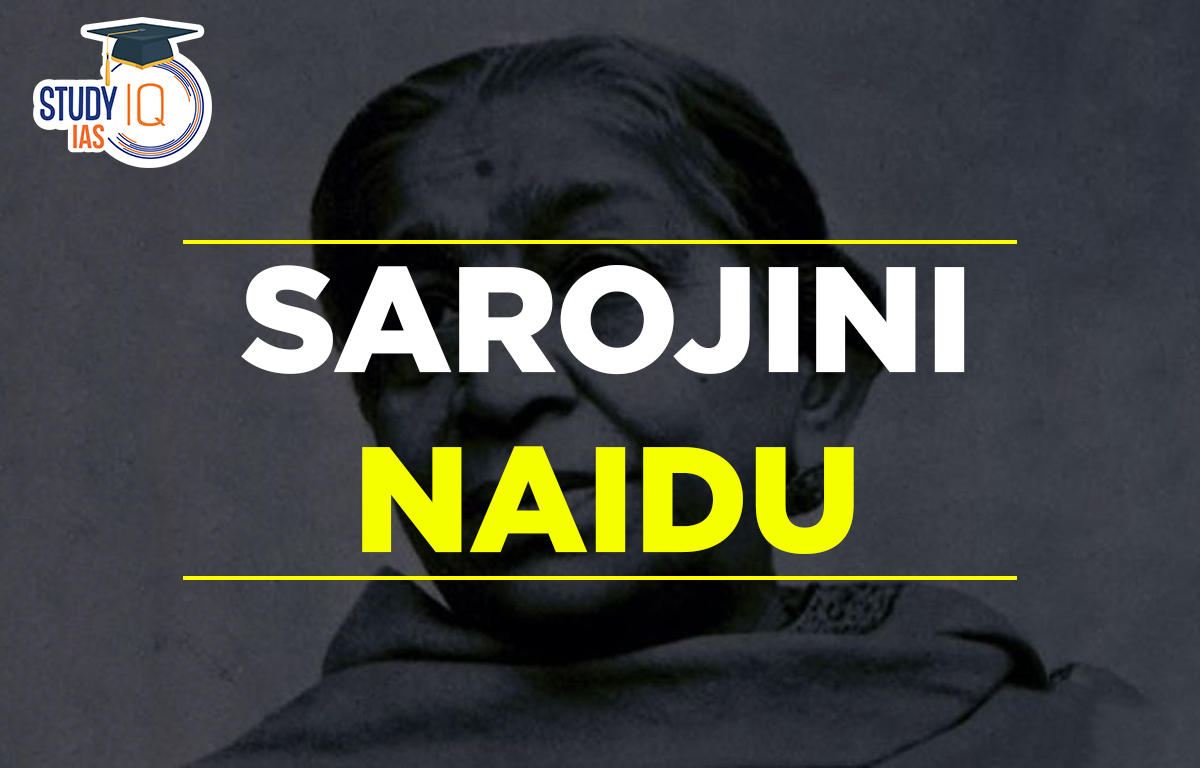 essay on freedom fighter sarojini naidu