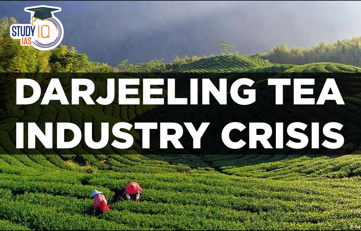 Darjeeling Tea Industry Crisis