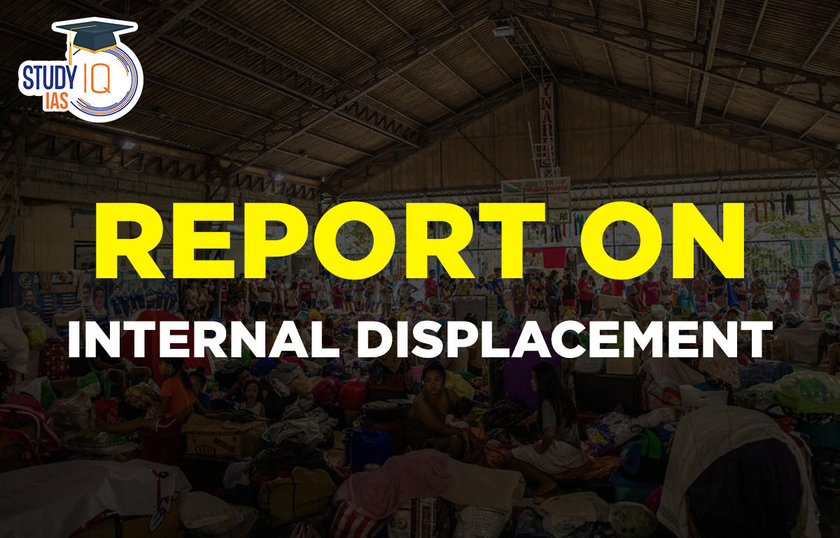 Report on Internal Displacement