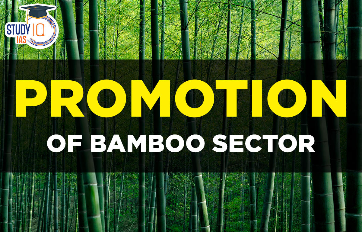 Promotion of Bamboo Sector