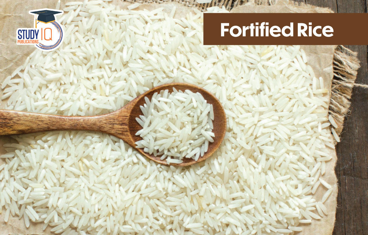 fortified-rice-meaning-introduction-need-cause-concern