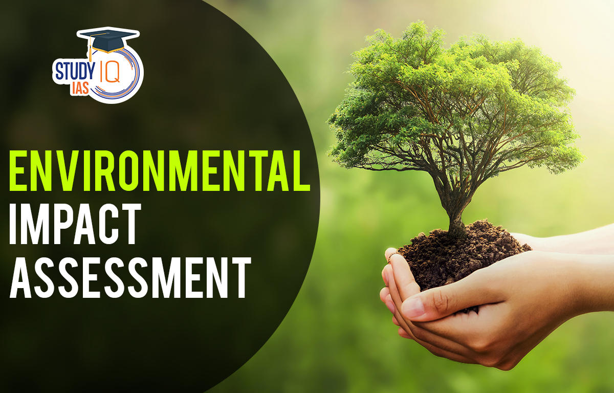 Environmental Impact Assessment