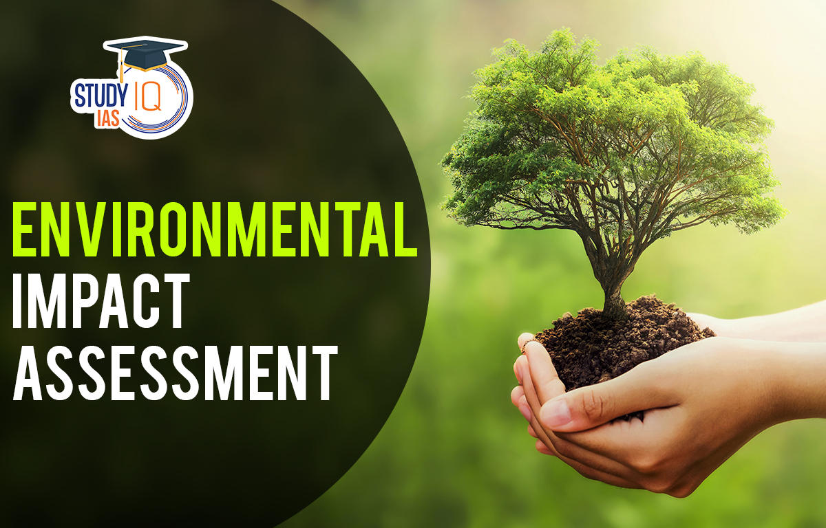 environmental impact statement process