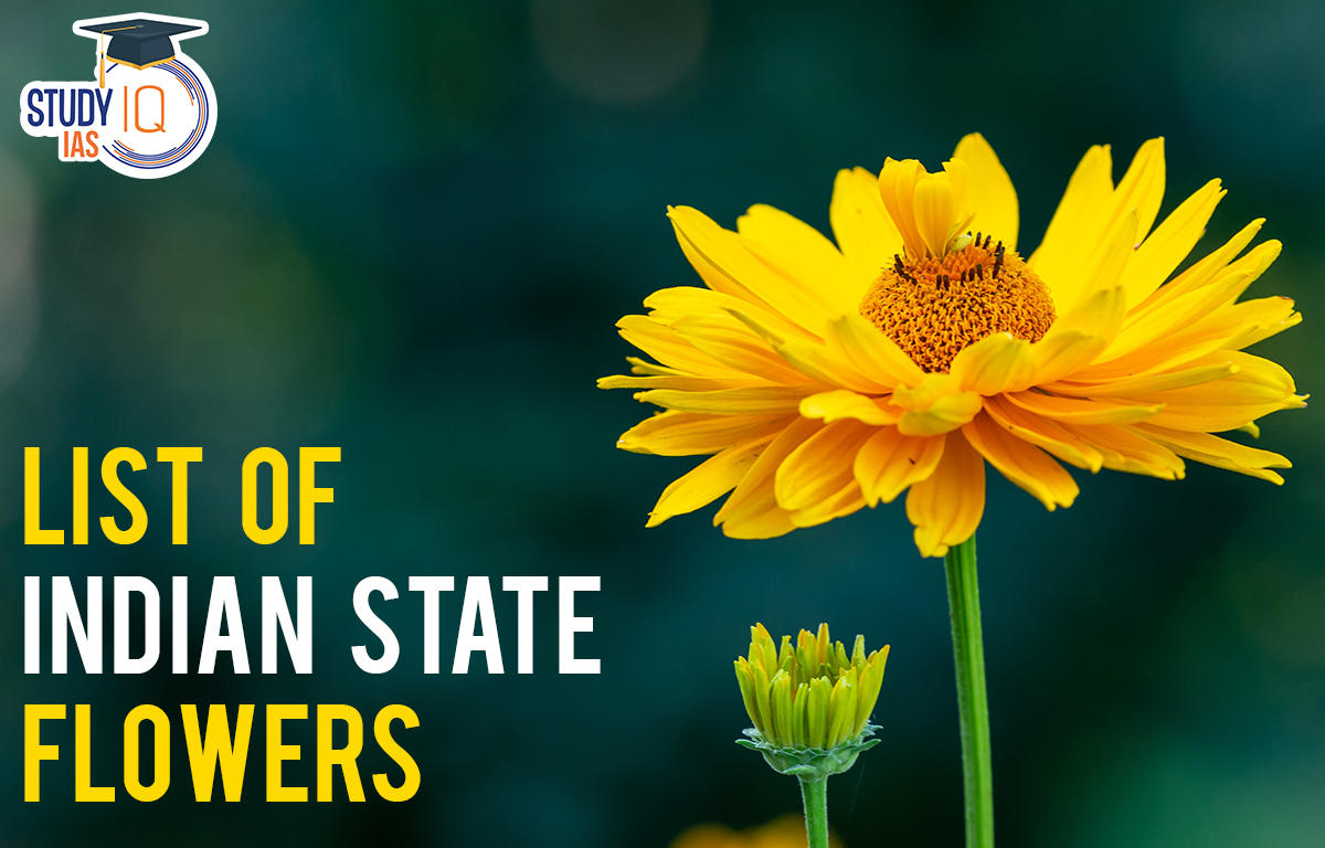 List of Indian State Flowers, Indian Flowers Statewise List