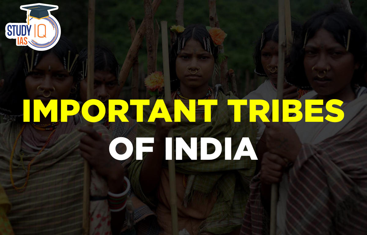Major Tribes in India