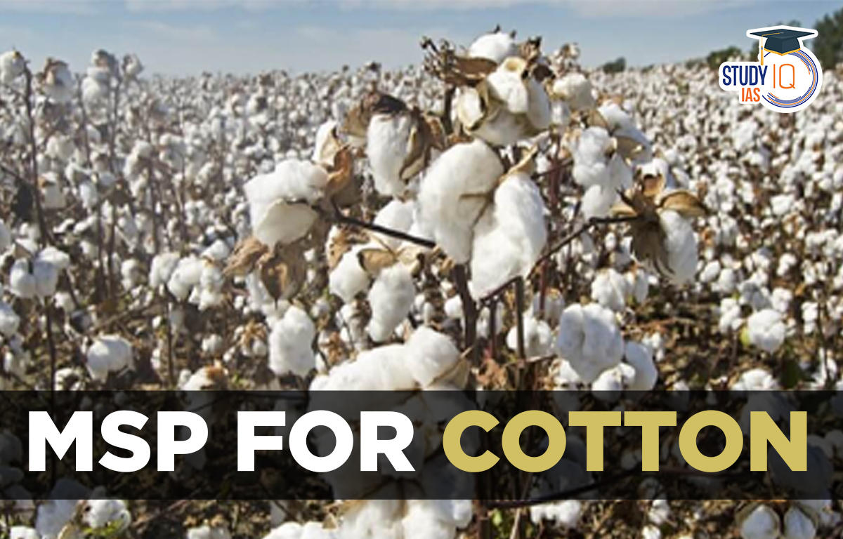 MSP for Cotton