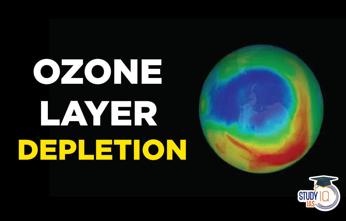 the major cause of ozone depletion is