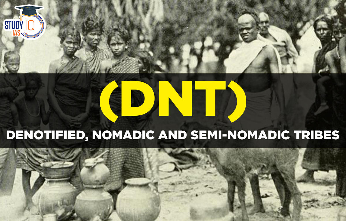 Denotified, Nomadic and Semi-Nomadic Tribes (DNT)