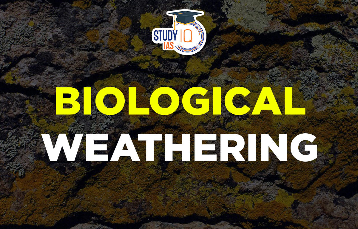 Biological Weathering