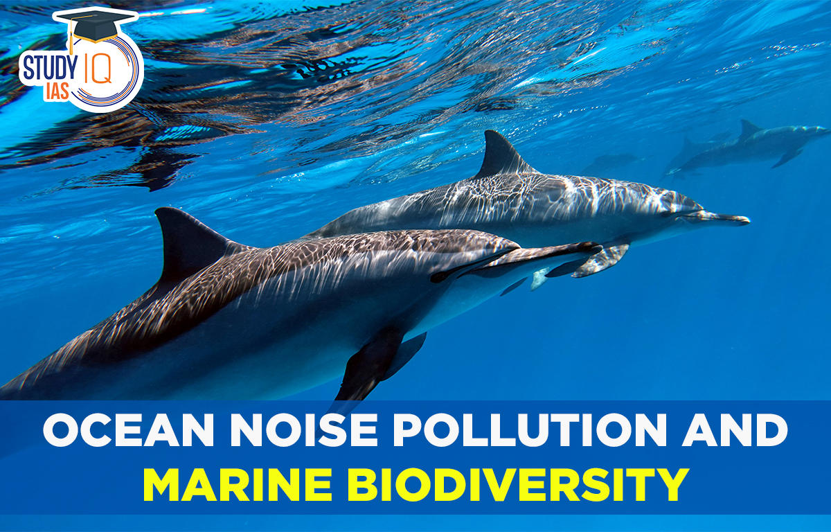 Ocean Noise Pollution and Marine Biodiversity