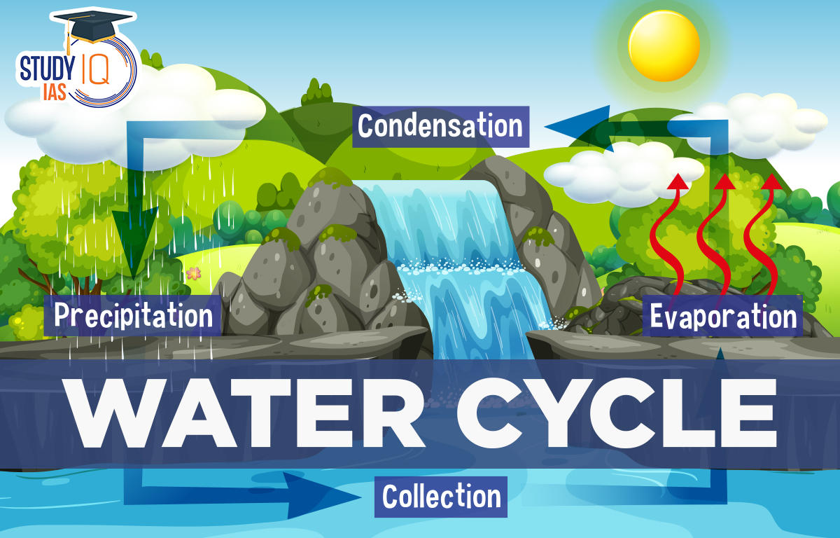 Water Cycle Definition, Phases, Significance & Diagram