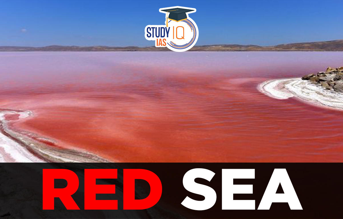 Red Sea