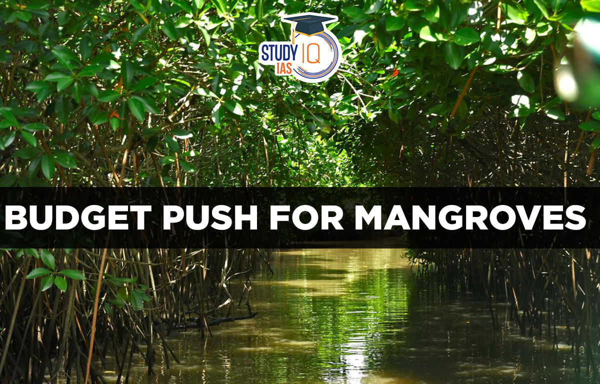 Budget Push for Mangroves