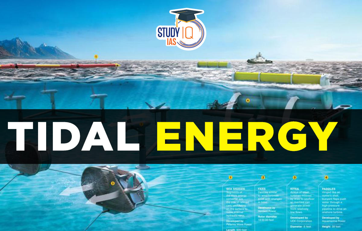 tidal energy power plant ppt