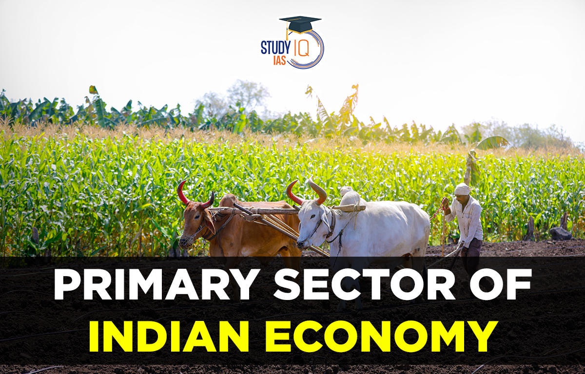 primary-sector-of-indian-economy-examples-agriculture-sector