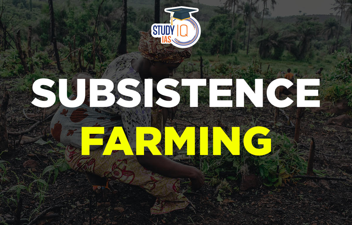 subsistence farming definition