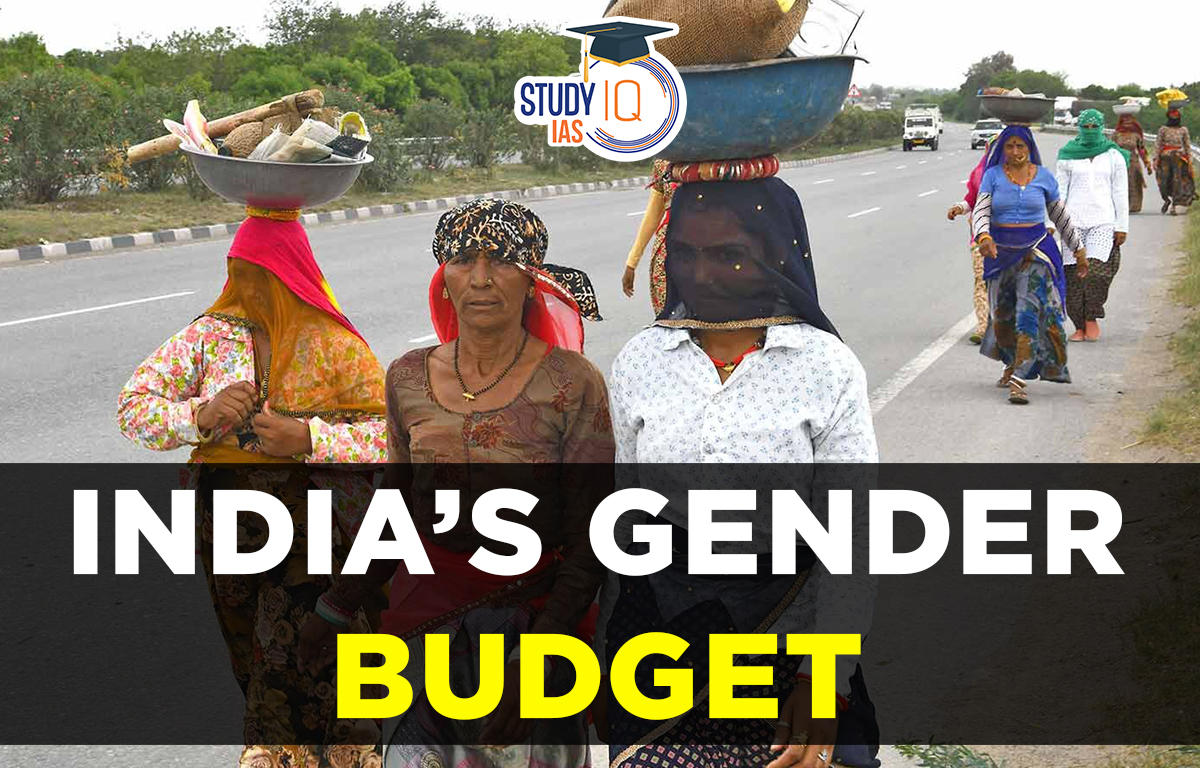 India’s Gender Budget