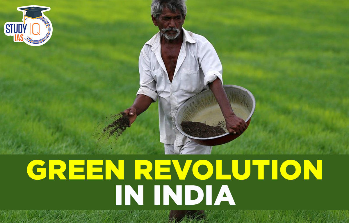 Green Revolution in India