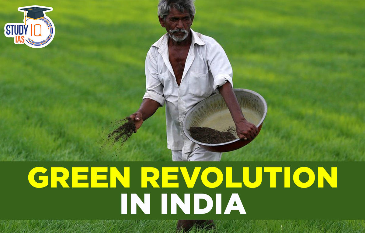 Green Revolution In India Advantages Impacts Achievements