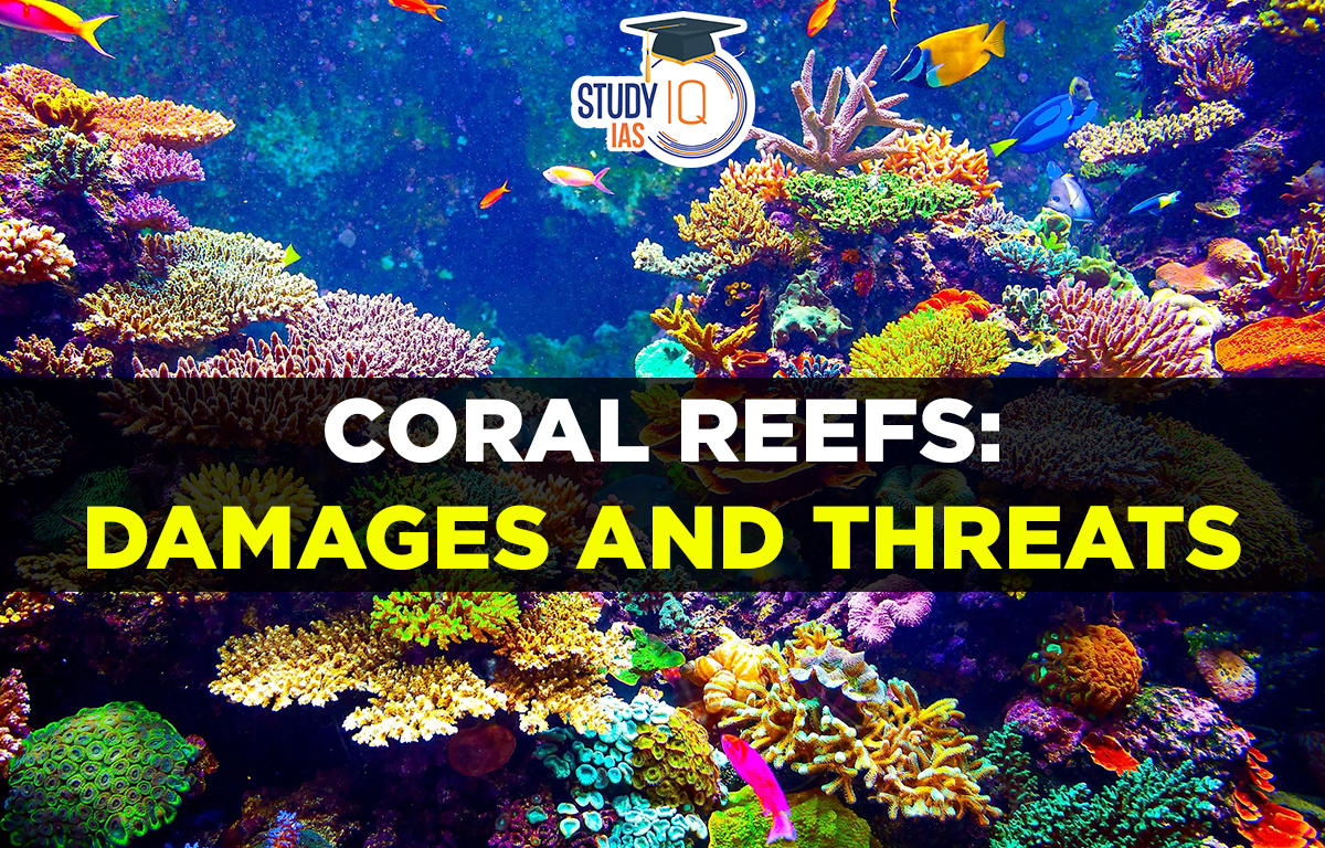 Coral Reefs Damages and Threats