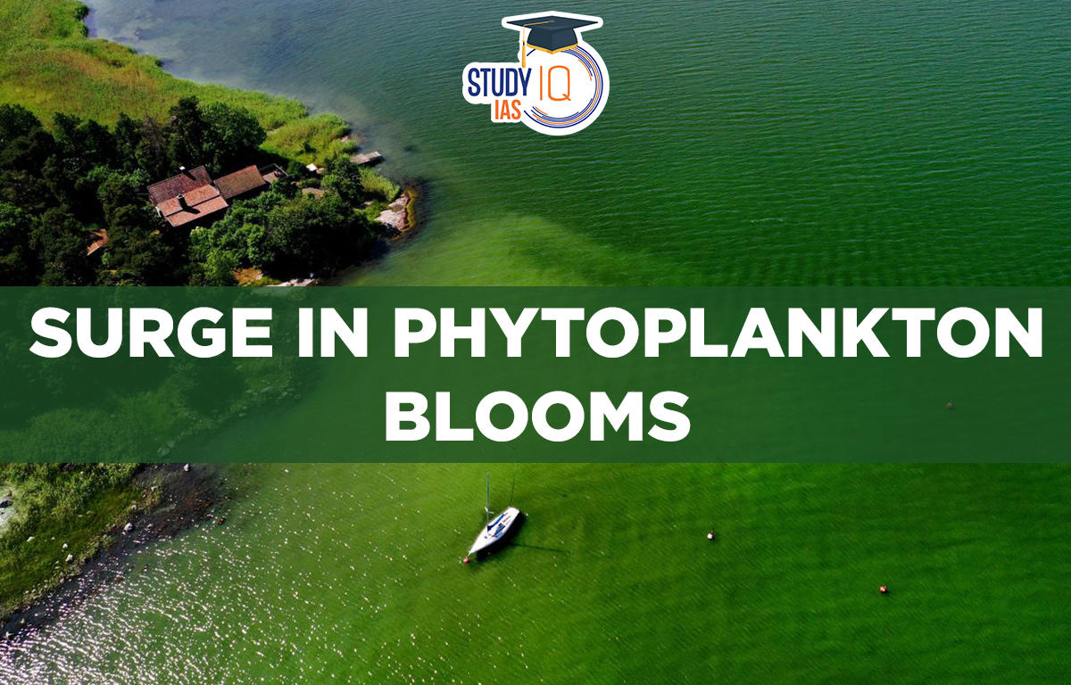 Surge in Phytoplankton Blooms