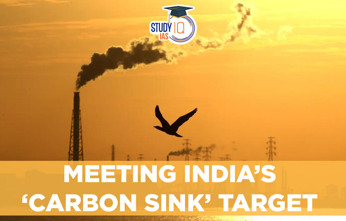 Meeting India’s ‘Carbon Sink’ Target