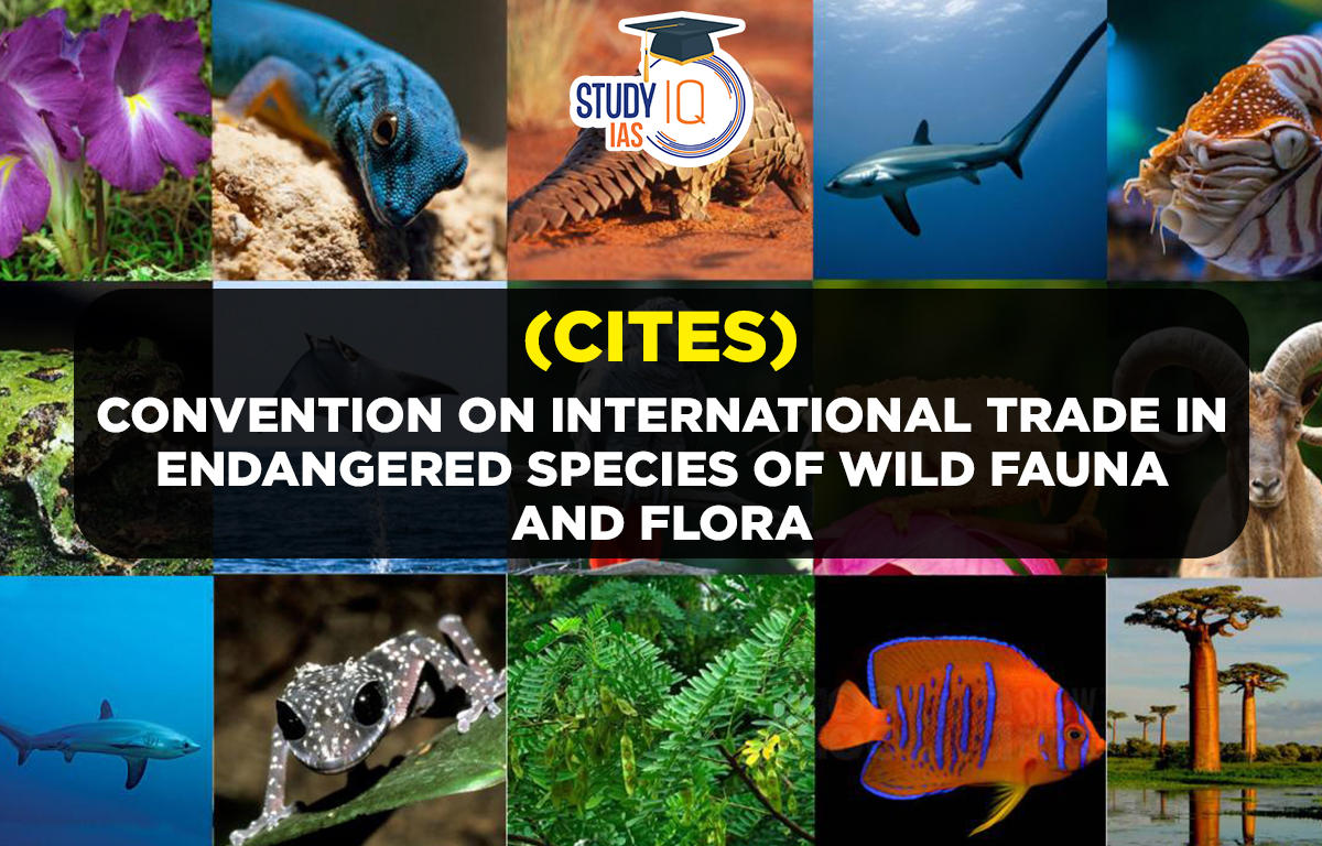 Convention on International Trade in Endangered Species of Wild Fauna and Flora (CITES)