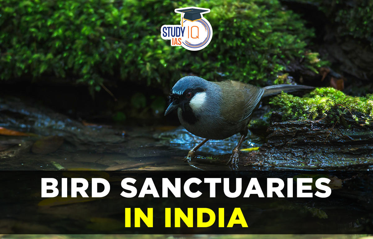 Bird Sanctuaries in India